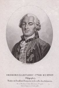 Georges-Louis Leclerc, Comte de Buffon, cientista e escritor francês (gravura) de French School