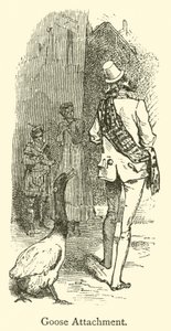 Acessório para ganso (gravura) de French School