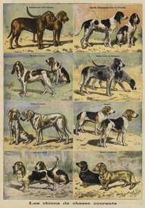 Cães armados