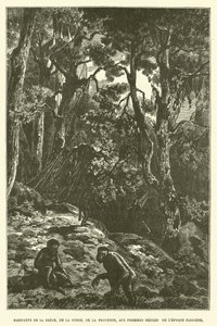 Habitantes da Grécia, Suíça, Provença, nos primeiros séculos da época do Plioceno (gravura) de French School