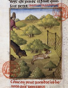 Caça à Lebre - no "Livro de Caça de Gaston Phoebus, Conde de Foix, Senhor de Béarn". de French School
