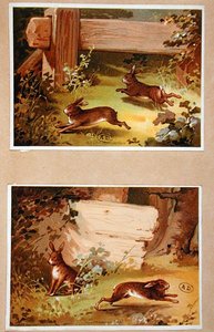 Lebres e Coelhos, c.1890 (cor litho) de French School