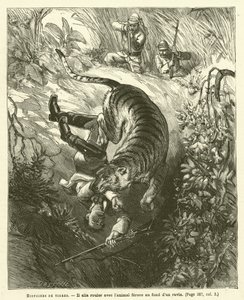 Histoires De Tigres (gravura) de French School