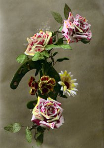 Ferradura e flores c.1898 (foto colorida à mão) de French School