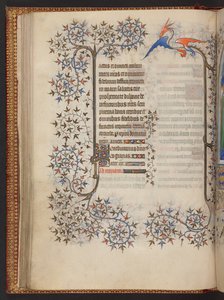 Horas da Virgem, Livro de Horas, Add MS 32454 f.37v, França de French School