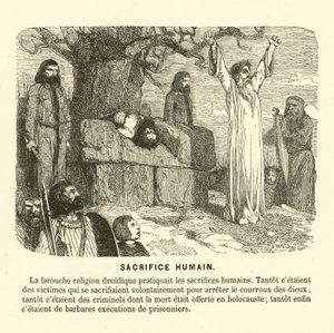 Sacrifício humano dos druidas (gravura) de French School
