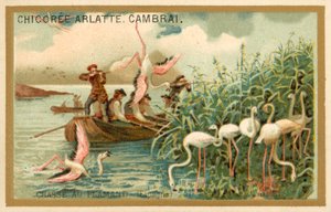 Caça aos flamingos, Espanha (chromolitho) de French School
