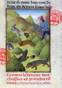 Caçando coelhos com cães e redes, do Livre de la Chasse por Gaston Phebus, início do século XV de French School