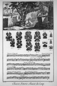 Caça ao lobo (diferentes formas ou armadilhas para pegar os lobos) - "The Great Encyclopedie, ou Dictionnaire Raisonne des Sciences, des Arts et des Metiers" (Enciclopédia ou Dicionário das Ciências, Artes e Profissões) por Denis Diderot (1713-1784) e de French School