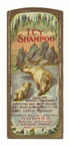 Rótulo de Shampoo Gelado, Nogara de French School
