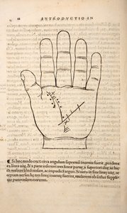 Ilustração de Chiromantia por Joannes Indagioe, Estrasburgo, 1531 (impressão e gravação) de French School