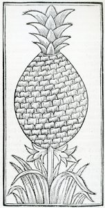 Ilustração de 