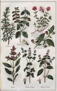 Ilustração de "Mon docteur, traite de medecine et d