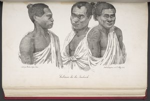 Habitantes das Ilhas Sandwich, da Pitoresca Viagem ao Mundo, com Retratos de Selvagens da América, Ásia, África e Ilhas do Grande Oceano; paisagens, vistas para o mar e vários objetos de história natural; acompanhado de French School