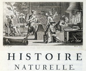 Interior de uma forja - em "Natural history, general and particular" de Buffon de French School
