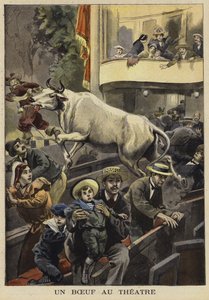 Interrupção de uma performance de teatro por um boi, Villefranche-de-Lauragais, França, 1897