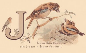 J: Young Jays Pretty are Players e Happy Jolily! de French School