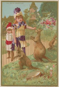 Cangurus em um zoológico de French School