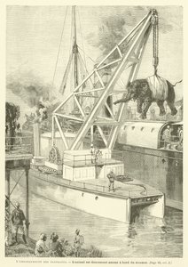O Embarque do Elefante (gravação) de French School