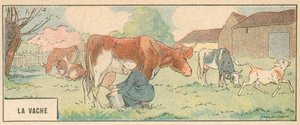 A Vaca (cor litho) de French School