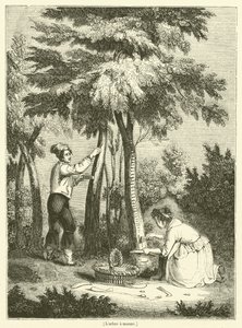 O maná árvore (gravura) de French School