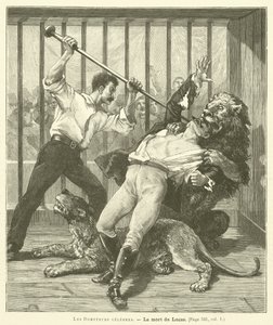 The Tamer Lucas de French School