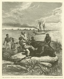 Tenente Harou No Congo (gravura) de French School