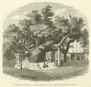 O plátano da ilha de Cos, na praça pública da cidade (gravura) de French School