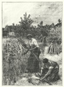 A Colheita do Cânhamo (gravura) de French School