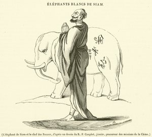 O elefante siamês e o chefe dos Bonzos (gravura) de French School