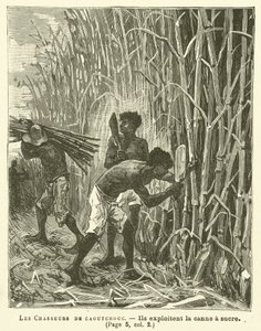 Les Chasseurs De Caoutchouc (gravura) de French School