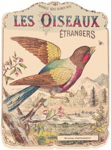 Les Oiseaux Étrangers: capa de álbum. Charbonnière mesange, finais do século XIX (gravura) de French School