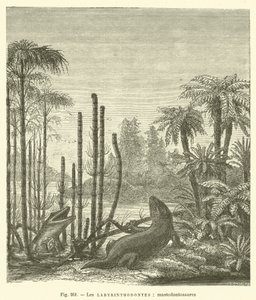 Labirintiodontes, mastodontossauros (gravação) de French School