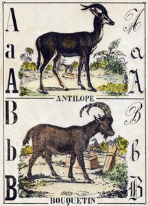 Carta A Antelope; B Ibex. Gravura em "Alfabeto dos animaux sauvages". 9ª Série. Imagem de Epinal, Pellerin, impressora-editora, cerca de 1870. Gravura em madeira, stencilada. 16 páginas. Dimensões: 20 x 15 cm. Coleção Particular de French School