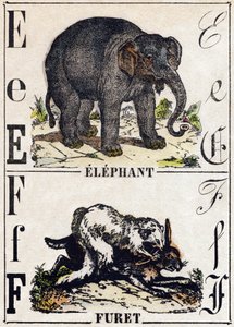 Letra E Elefante; F F Furão. Gravura no "Alfabeto dos animaux sauvages". 9ª Série. Imagem de Epinal, Pellerin, impressora-editora, cerca de 1870. Gravura em madeira, stencilled. 16 páginas. Dimensões: 20 x 15 cm. Coleção Particular de French School