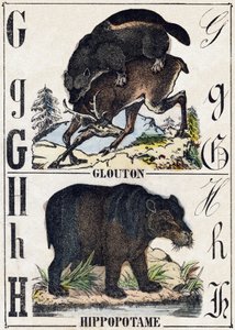 Letra G Glutão; H Hippotamus. Gravura em "Alfabeto dos animaux sauvages". 9ª Série. Imagery of Epinal, Pellerin, printer-publisher, circa 1870. Gravura em madeira, stencilled. 16 páginas. Dimensões: 20 x 15 cm. Coleção Particular de French School