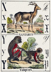 Carta X Xantarus; Yarques Yarques. Gravura em "Alfabeto dos animaux sauvages". 9ª Série. Imagery of Epinal, Pellerin, printer-publisher, circa 1870. Gravura em madeira, stencilada. 16 páginas. Dimensões: 20 x 15 cm. Coleção Particular de French School