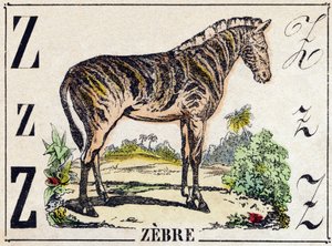 Carta Zebra. Gravura em "Alphabet des animaux sauvages". 9ª Série. Imagery of Epinal, Pellerin, printer-publisher, circa 1870. Gravura em madeira, stencilada. 16 páginas. Dimensões: 20 x 15 cm. Coleção Particular de French School