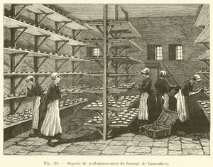 Loja de melhoramento de queijo Camembert (gravura) de French School