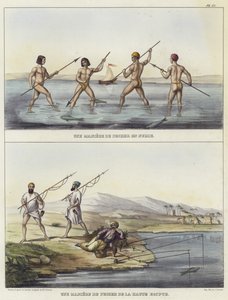 Métodos de pesca na Núbia e no Egito de French School
