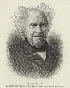 Michel Eugene Chevreul de French School