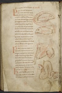 Miscelânea de obras sobre informática e astronomia, Royal MS 13 A XI de French School
