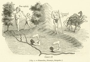 Monocules, Blemmys, Sciopodes (gravura) de French School