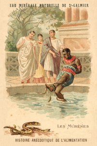 Moreia enguias (chromolitho) de French School