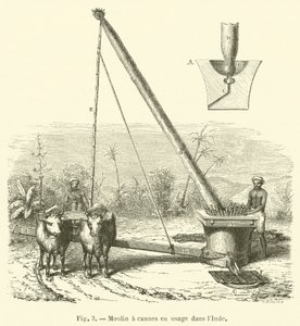 Fábrica de canas em uso na Índia (gravura) de French School