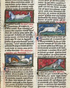 320 Fol.115r Monstros Marinhos, de 