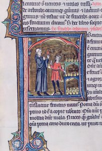 Ms 426 fol.135 Ensinando a melhor maneira de preservar as peras, de The Mirror of Nature de Vincent de Beauvais de French School