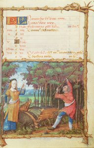 Ms 438 O Mês de Novembro: Recolhendo Bolotas, de um Livro de Horas, 1490 de French School