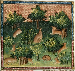Fr. 616 fol.24v Hares in a Wood, do Livre de la Chasse de Gaston Phebus de Foix (1331-1391) de French School