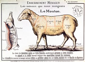Carneiro: diagrama representando os diferentes cortes de carne de French School